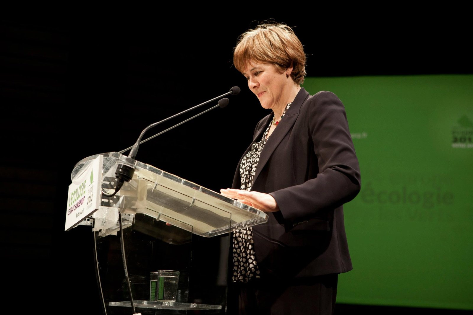 Les élus écologistes